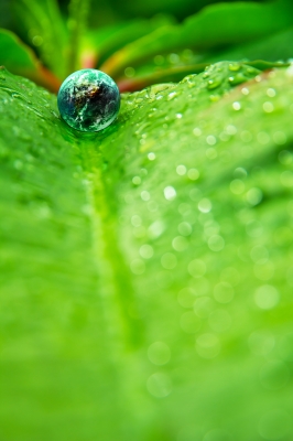 Dfge - institute for energy, ecology and economy