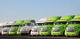 picture of trucks