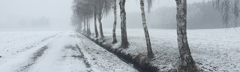 picture of a field in winter