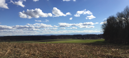 picture of a field