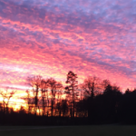picture of a sunset