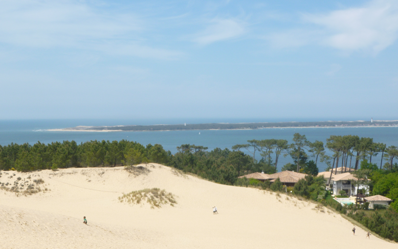 picture showing a Landscape with a sand dune, trees and in blue sea and blue sky in the back