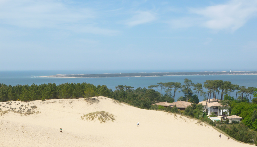 picture showing a Landscape with a sand dune, trees and in blue sea and blue sky in the back