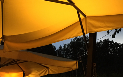 yellow parasol