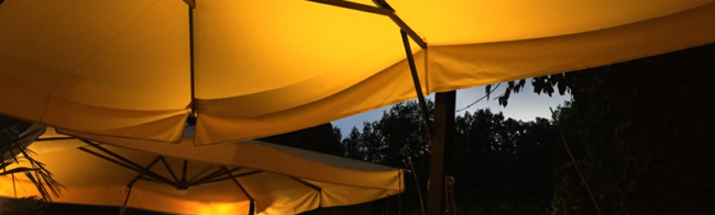 yellow parasol