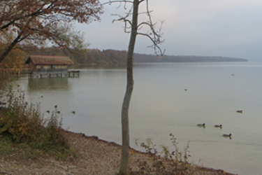 image of a lake in late autumn visualizing the article about EcoVadis participation