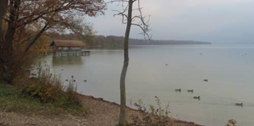 image of a lake in late autumn visualizing the article about EcoVadis participation