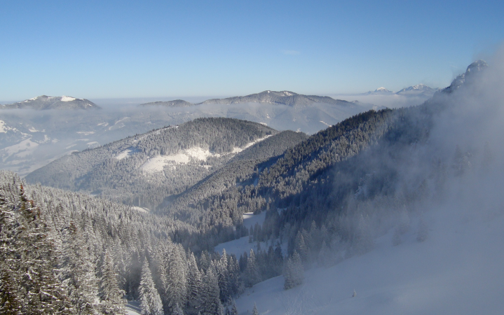 Mountain with pine forest covered in snow, blue sky below, and mist on the right