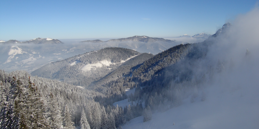 Mountain with pine forest covered in snow, blue sky below, and mist on the right