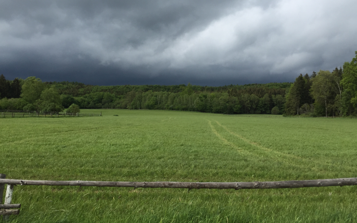 Green meadow with storm gathering on the background