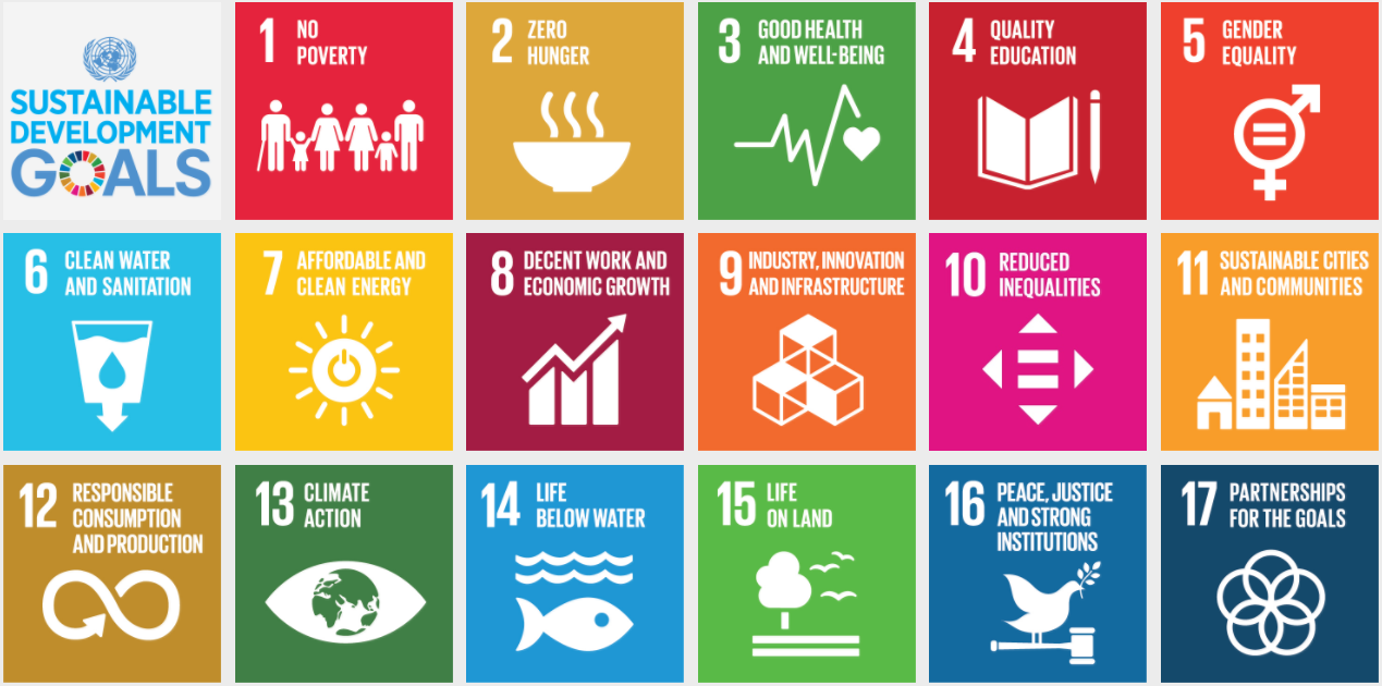 picture of the SDGs