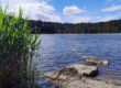 Ein ruhiger See, gesäumt von hohem Schilf und großen Felsen im Vordergrund, mit einem dichten Wald und einem teilweise bewölkten blauen Himmel im Hintergrund.