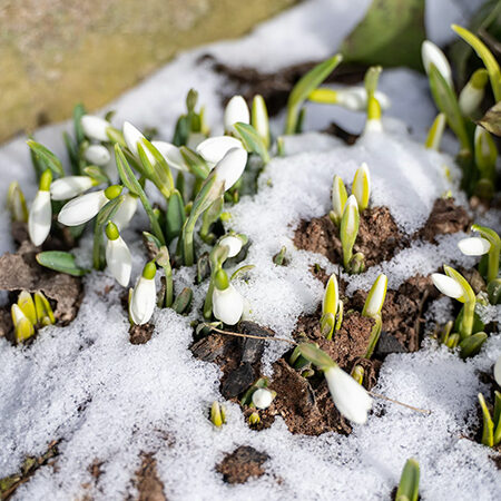 Bilanzierung Flottenfahrzeuge