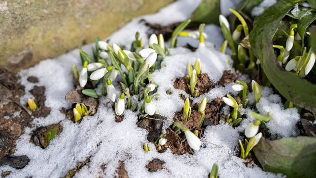 Bilanzierung von Flottenemissionen Bilanzierung Flottenfahrzeuge