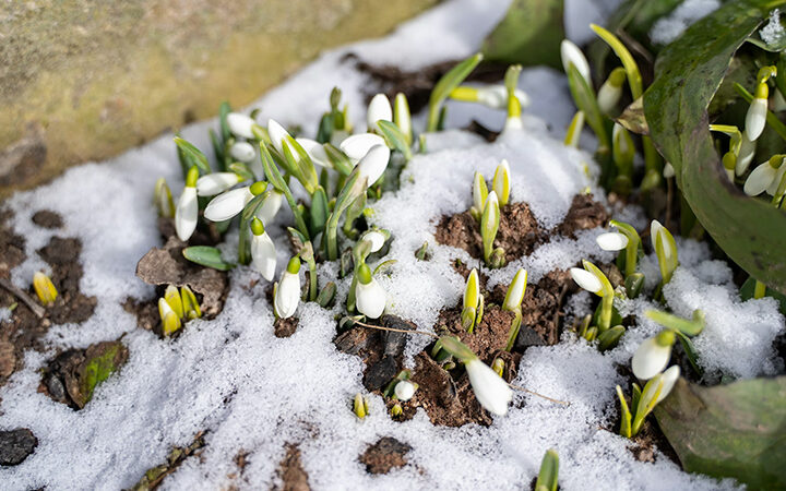 Bilanzierung von Flottenemissionen Bilanzierung Flottenfahrzeuge