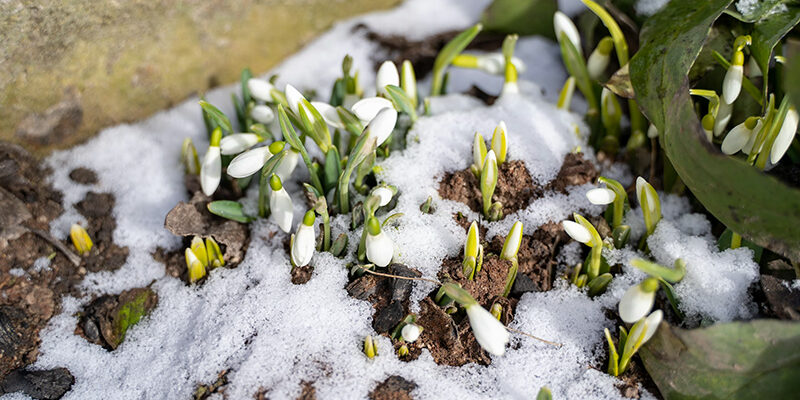 Bilanzierung von Flottenemissionen Bilanzierung Flottenfahrzeuge