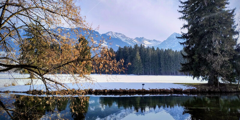 Bilanzierung von Scope 3 Emissionen Bilanzierung von Scope 3 Emissionen