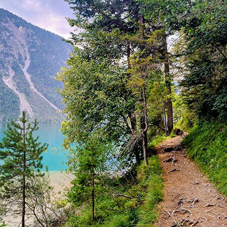 Ein Feldweg schlängelt sich durch üppig grüne Bäume am Ufer eines klaren, türkisfarbenen Sees entlang, während sich im Hintergrund unter einem teilweise bewölkten Himmel bewaldete Berge erheben.