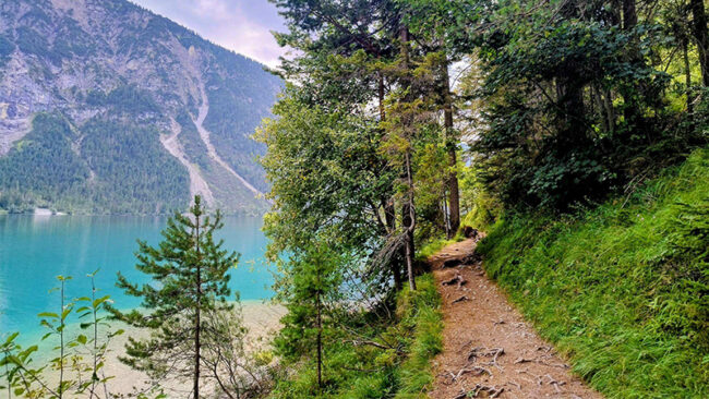 Blog-Spend-based_Weight-based Ein Feldweg schlängelt sich durch üppig grüne Bäume am Ufer eines klaren, türkisfarbenen Sees entlang, während sich im Hintergrund unter einem teilweise bewölkten Himmel bewaldete Berge erheben.