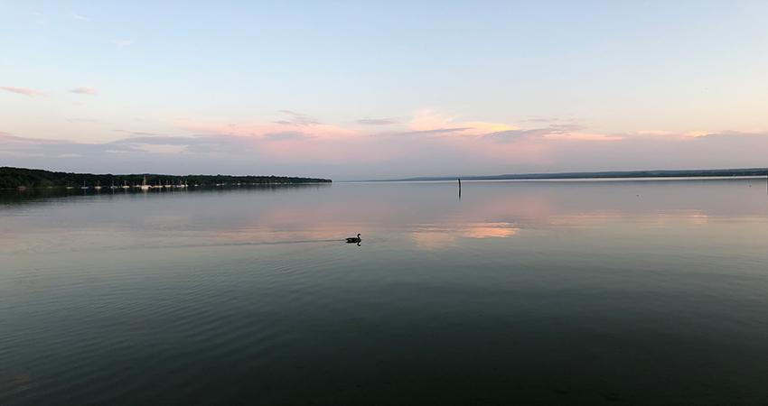 image of a lake visualizing the blog entry about the DJSI Results in 2019