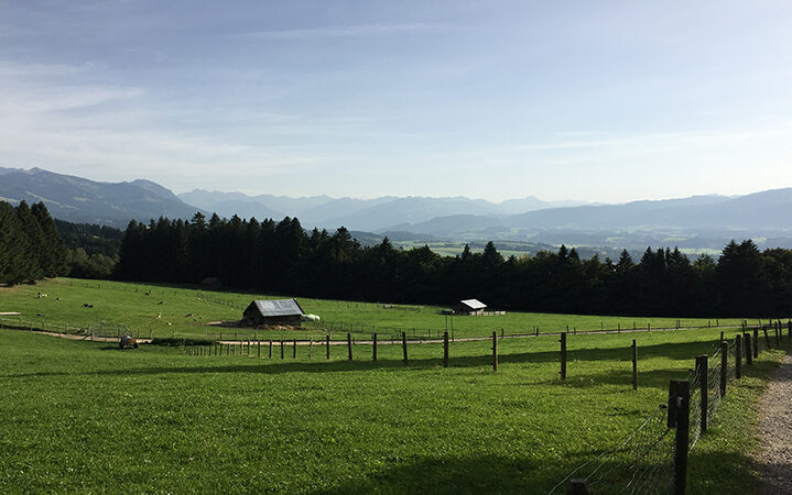 picture showing fields in front of mountains illustrating the blog article about the CDP questionnaire