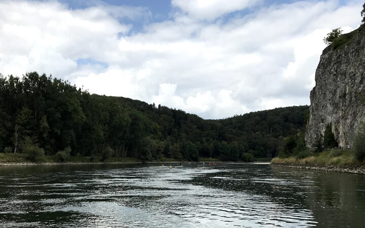 picture showing a river and a forest illustrating the blog entry about the PSCI principles