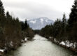 picture of a river in winter visualizing the blog article CDP europe Awards