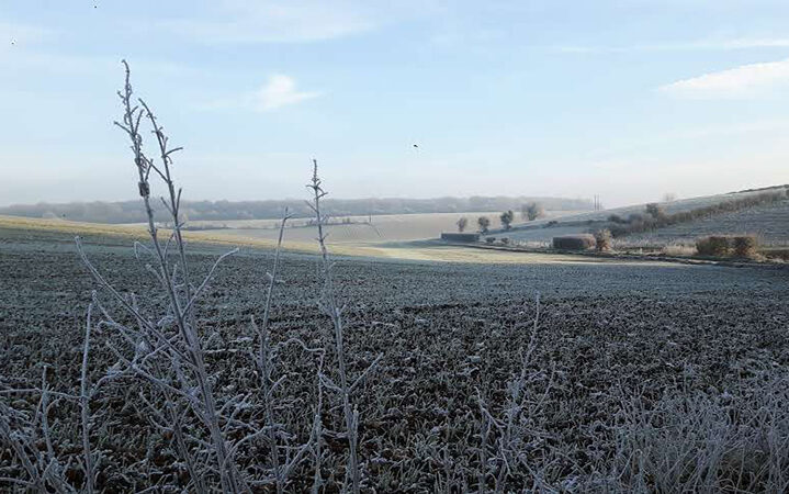 picture of a field in the early winter visualizing the blog article DFGE CDP Webinar 2019