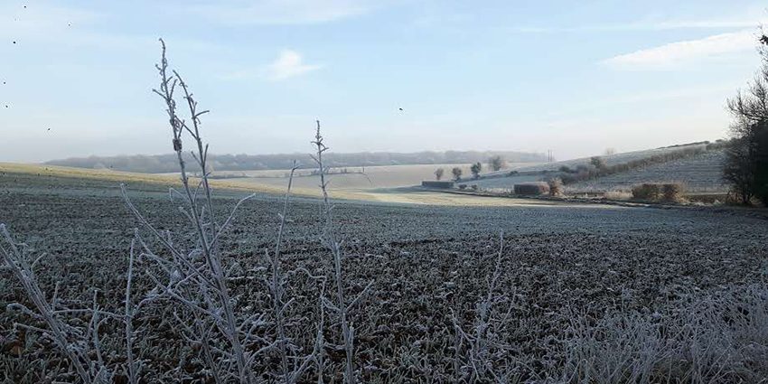 picture of a field in the early winter visualizing the blog article DFGE CDP Webinar 2019