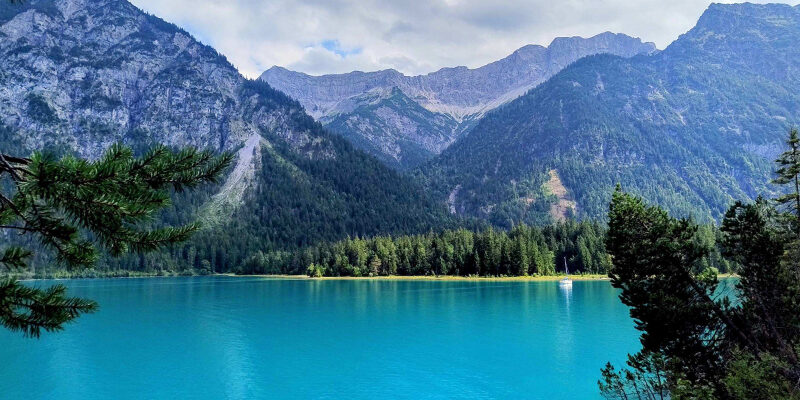 Blogpost-PCF2026 Ein türkisfarbener See mit klarem Wasser, umgeben von dichten Kiefernwäldern und hohen, schroffen Bergen unter einem teilweise bewölkten Himmel. Kiefernzweige rahmen den Blick im Vordergrund ein.