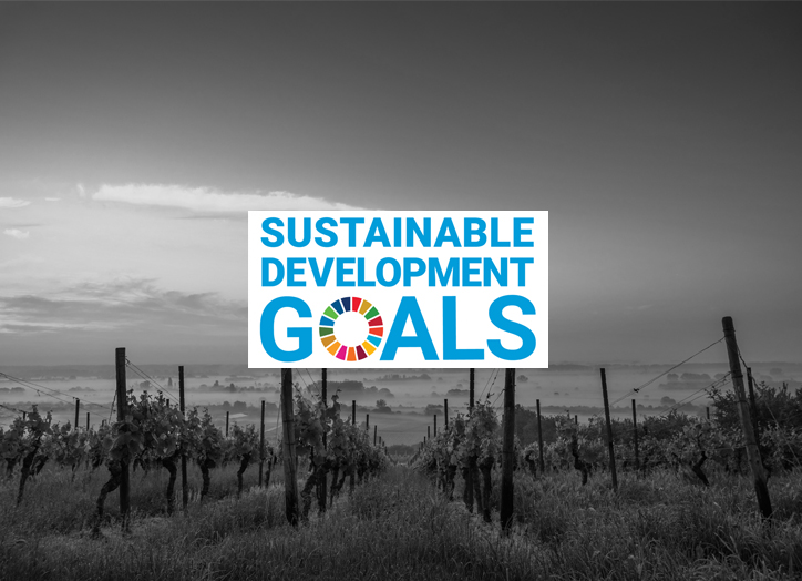 Sdg&e Box Box_Reporting_SDG - DFGE - Institute for Energy, Ecology and Economy