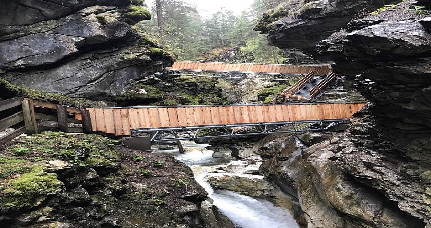 Bridges between rocks and trees in the background - DFGE - Institute ...
