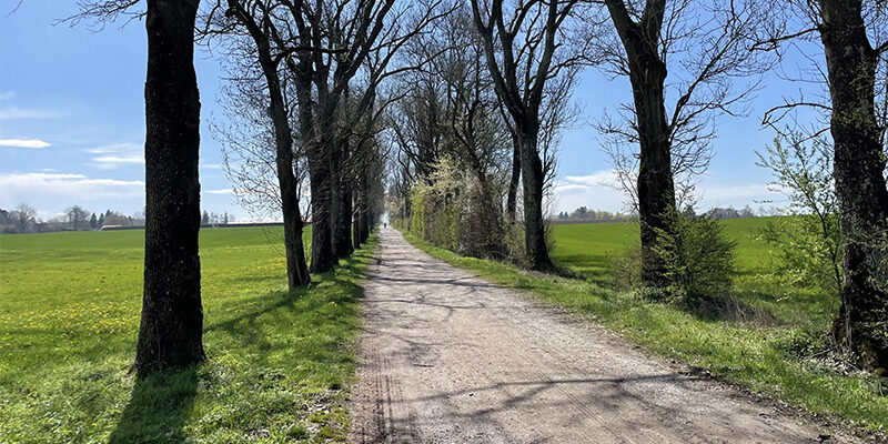 CDP-2026 Ausblick CDP 2026