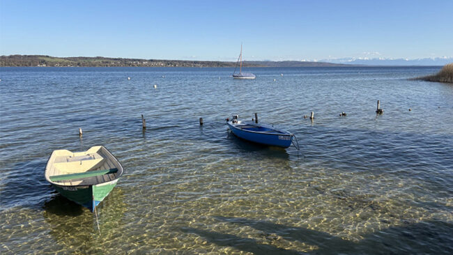 CDP-Awards-2026 CDP-Awards 2026