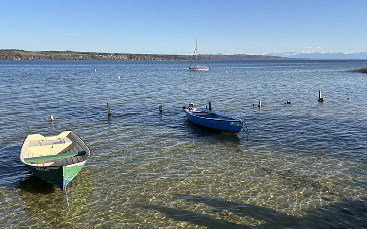 CDP-Awards-2026 CDP-Awards 2026