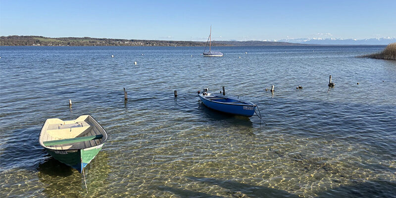 CDP-Awards-2026 CDP-Awards 2026