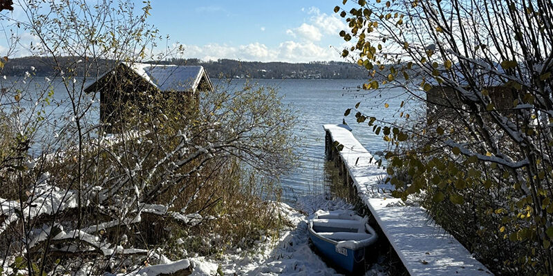 CDP-Scores-2026 CDP Ergebnisse 2026