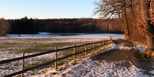 picture of a field besides a forest in winter visualizing the blog article about the CDP scores for 2018