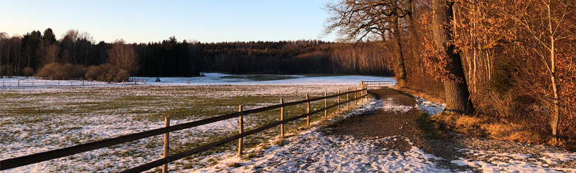 picture of a field besides a forest in winter visualizing the blog article about the CDP scores for 2018