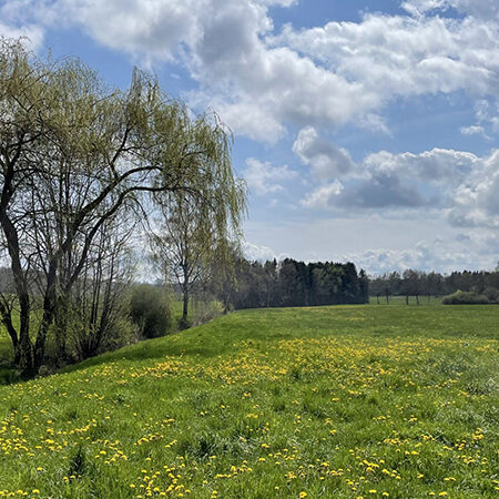 Was kostet CSRD wirklich