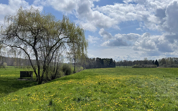 CSRD-Kosten-2026 Was kostet CSRD wirklich