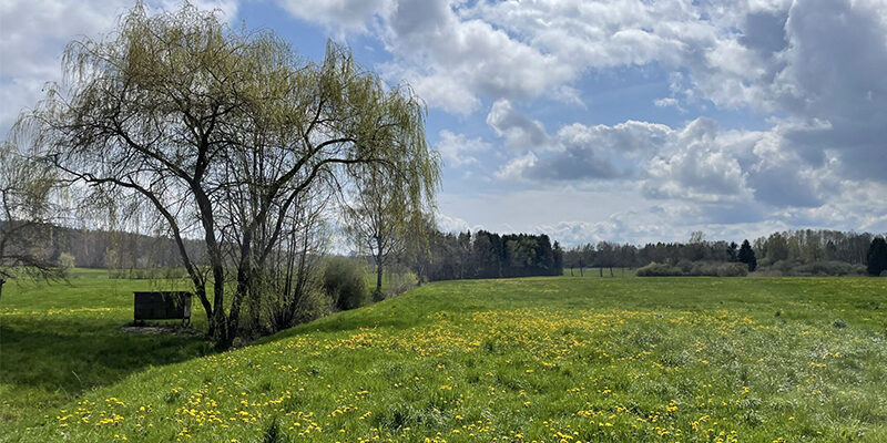 CSRD-Kosten-2026 Was kostet CSRD wirklich