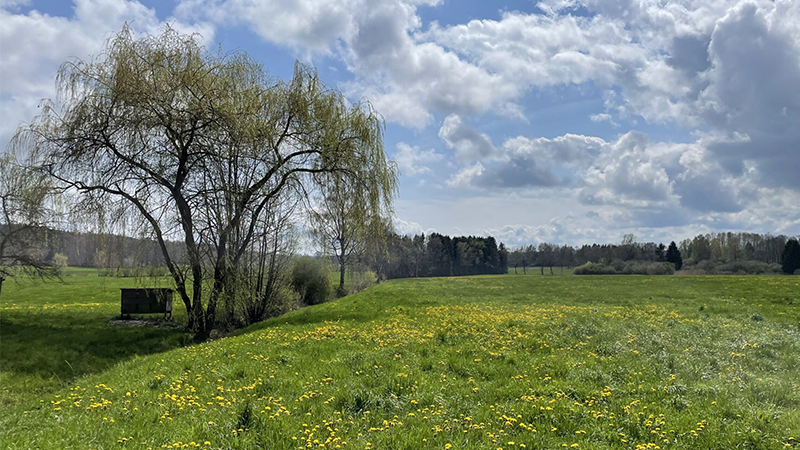 Was kostet CSRD wirklich