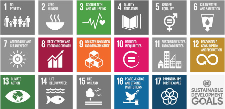 Die SDGs der DFGE