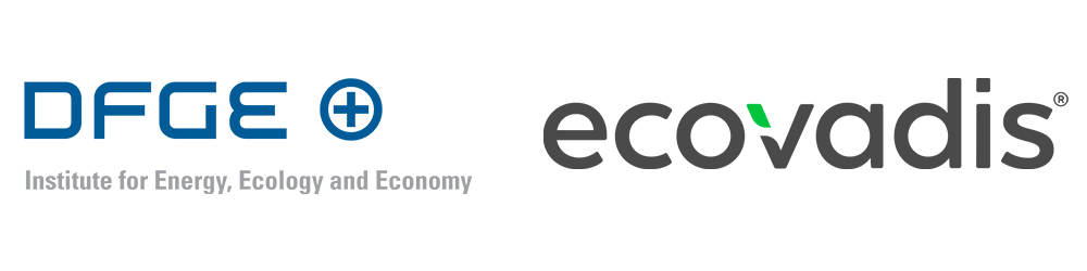 DFGE und EcoVadis