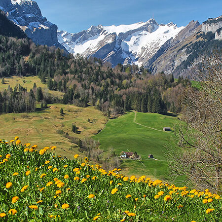Eine malerische Landschaft mit einer grünen, mit gelben Wildblumen übersäten Wiese, verstreuten Bäumen und kleinen Häusern. Im Hintergrund erheben sich schneebedeckte Berge - eine ideale Kulisse für einen Nachhaltigkeitsbericht im Mittelstand unter einem strahlend blauen Himmel.