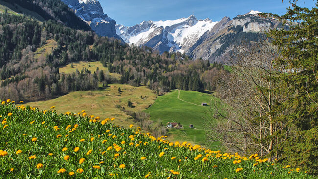 DFGExMINT-VSME Nachhaltigkeitsbericht im Mittelstand