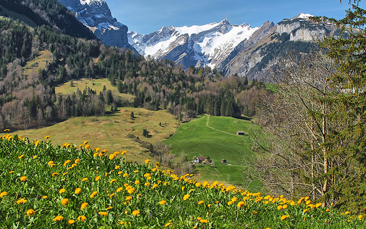 DFGExMINT-VSME Eine malerische Landschaft mit einer grünen, mit gelben Wildblumen übersäten Wiese, verstreuten Bäumen und kleinen Häusern. Im Hintergrund erheben sich schneebedeckte Berge - eine ideale Kulisse für einen Nachhaltigkeitsbericht im Mittelstand unter einem strahlend blauen Himmel.