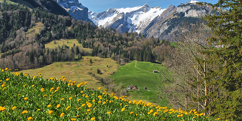 DFGExMINT-VSME Nachhaltigkeitsbericht im Mittelstand