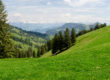 Ein üppig grüner, baumbestandener Hang mit Blick auf ein malerisches Tal mit sanften Hügeln und fernen schneebedeckten Bergen unter einem teilweise bewölkten Himmel.